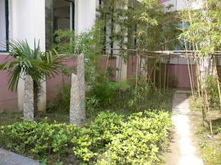 小竹林