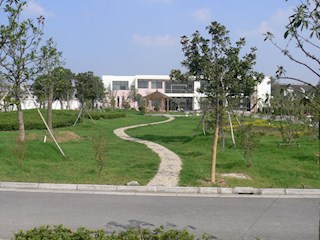 小花园
