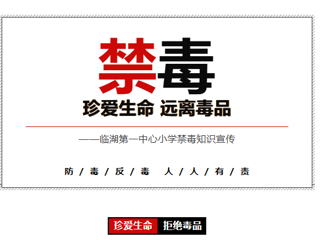 【平安莲园】远离毒品，珍爱生命——临湖第一中心小学禁毒知识宣传